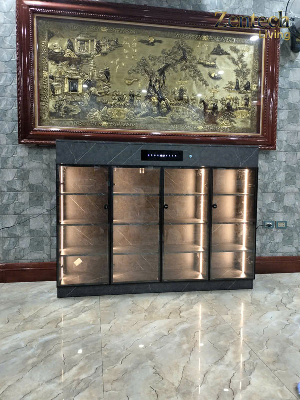 Tủ giày khử mùi ZT01