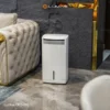 Máy hút ẩm kiêm lọc không khí Lumias D6S-26L