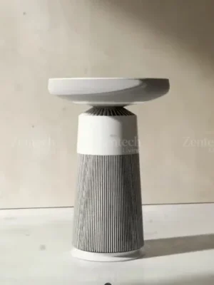 Máy lọc không khí kết hợp loa bluetooth LG PuriCare™ Aerospeaker AS20GSHU0