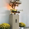 Két sắt Liberty LB1200 Pro