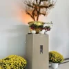 Két sắt Liberty LB1200 Pro