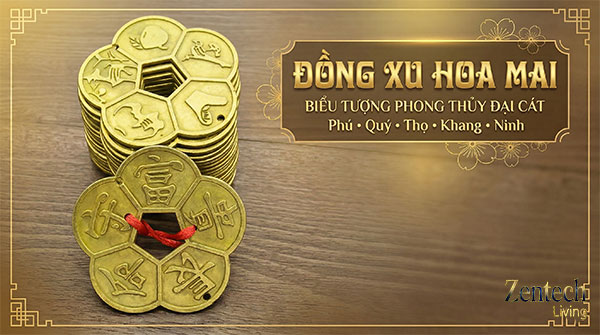 ảnh đại diện đồng xu hoa mai