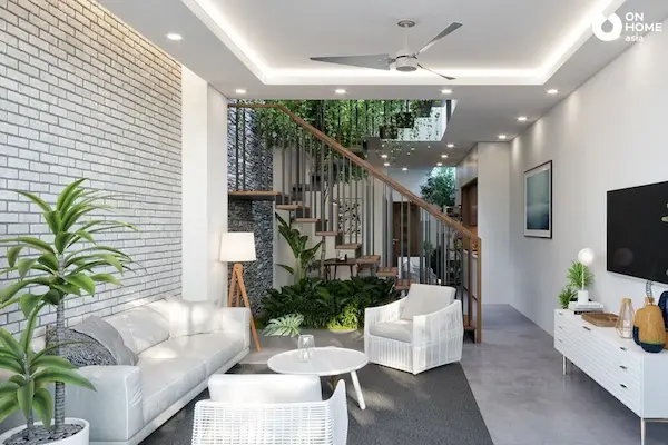 cây lọc khí trong nhà