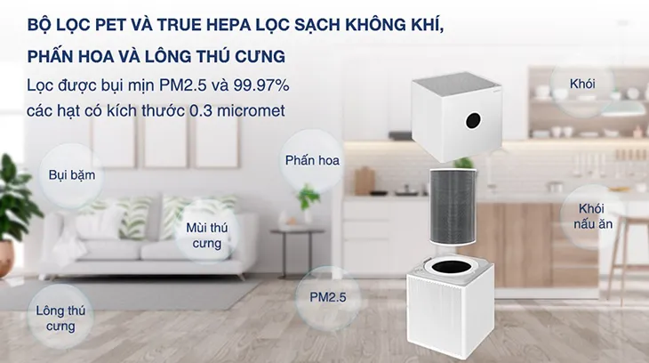 Máy Lọc Không Khí Không Phải Máy Hút Bụi Toàn Năng