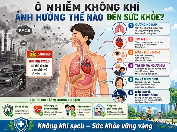 Ô nhiễm không khí ảnh hưởng thế nào đến sức khỏe?