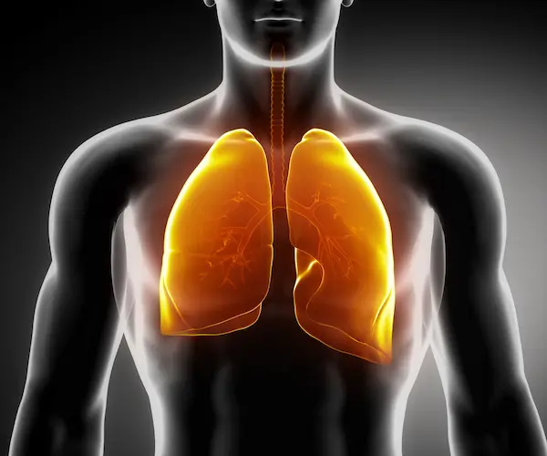 ozone ảnh hưởng đến sức khỏe